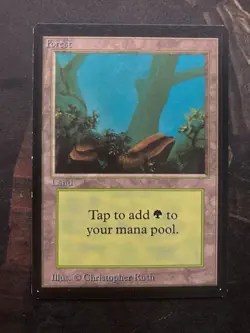 *** BETA Forest (A - Rocks) *** EX-NM Clean! - DUTY FREE - MtG Magic - Image 1