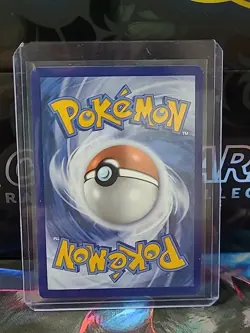 Pokemon TCG Illustration Rare Lot! 6 Cards! Pack Fresh! - Image 3