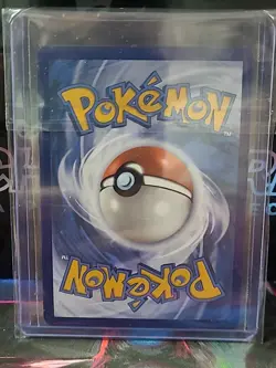Pokemon TCG Black Star Promo Lot Set Stamped! Pack Fresh! - Image 5