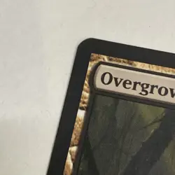 Overgrown Tomb Mtg Return To Ravnica NM X1 - Image 3