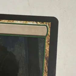 Overgrown Tomb Mtg Return To Ravnica NM X1 - Image 4