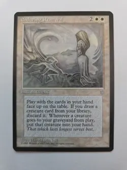 Enduring Renewal Ice Age Regular - Image 1