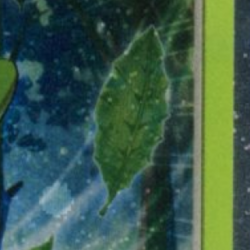 2024 POKEMON TWM TEAL MASK OGERPON #024/167 GAMESTOP EXCLUSIVE PROMO SEALED - Image 4