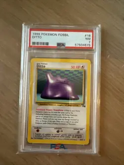 Ditto 18/62 Fossil Regular for sale online - Image 1