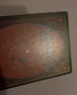 Rabid Wombat MP Legends MTG Magic the Gathering - Image 5