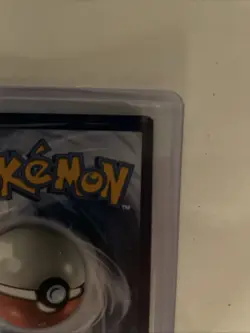 Golisopod ex 246/182 Sv04: Paradox Rift Holo Pokemon Card NM - Image 4