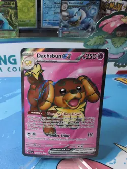Dachsbun ex - 160/142 - Stellar Crown Full Art - NM - Pokemon - Image 1
