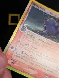 Heracross - 3/101 - Ex Dragon Frontiers Holo Rare Pokemon Card - NM - Image 3