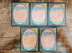 MTG ⭐6th Sixth Edition Basic Land Set VLP⭐ 5x Lands: 1 of each land ⭐1999 Magic - Image 2