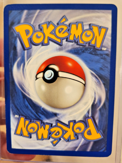Kabuto NM - MINT 50/62 1st Edition Fossil Pokemon TCG Regular 🔥 🔥 🔥 💎 NM - Image 2