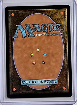 2024 MTG Magic the Gathering Secret Lair Foil #867 Natures Lore Black Panther - Image 2