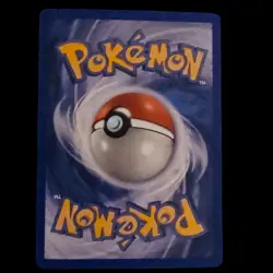 Torchic Holo Foil Promo 017 Black Star Promo Pokemon Card TCG 2004 - Image 2