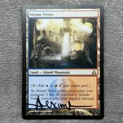 MTG Steam Vents - Guildpact GPT #164 Non-Foil LP Artist Signed Magic Card - Image 1