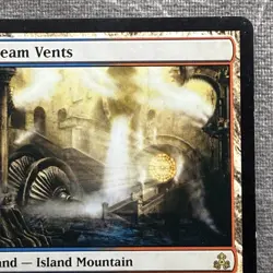 MTG Steam Vents - Guildpact GPT #164 Non-Foil LP Artist Signed Magic Card - Image 4