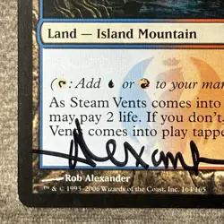 MTG Steam Vents - Guildpact GPT #164 Non-Foil LP Artist Signed Magic Card - Image 5