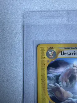 Ursaring 110/144 Skyridge Common WOTC Vintage Pokemon 2003 - Image 4