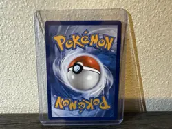 Charcadet - Black Star Promo 22 - MEP - Phantasmal ETB Pokemon TCG - Image 4