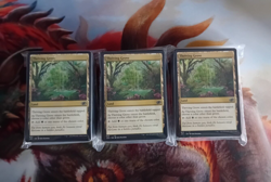 60x Basic Lands Bundle - Pick a Colour (Near Mint, NM) - MTG - Image 1
