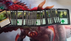 60x Basic Lands Bundle - Pick a Colour (Near Mint, NM) - MTG - Image 2