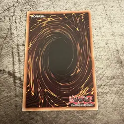 Borrelsword Dragon - CYHO-EN034 - Secret Rare 1st Ed Yugioh - LP - Image 2