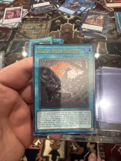 Black Rose Garden 1st Edition Ultra Rare DOOD-EN055 Yu-Gi-Oh! - Image 1