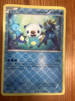 ______'s Oshawott Jumbo Cards Holo - Image 2