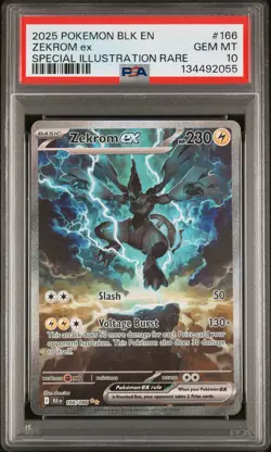 2025 POKEMON BLK EN-BLACK BOLT SPECIAL ILLUSTRATION RARE #166 ZEKROM EX PSA 10 - Image 1