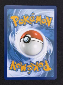 OBO /Pokemon TCG Chien-Pao EX 261/193 Sv02 Paldea Evolved Holo Card NM Condition - Image 2