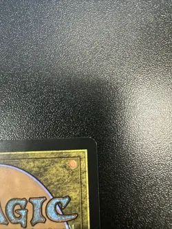 Three Tree City Bloomburrow Regular 0260 NM JL - Image 4