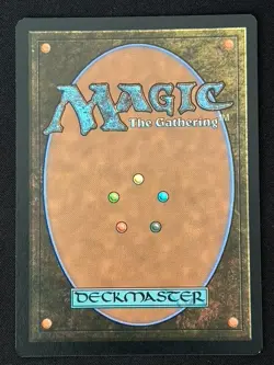 1x MTG Raff, Weatherlight Stalwart (Halo Foil) - MoM: Multiverse Legends (MUL) - Image 2