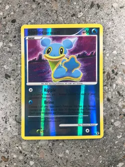 Pokemon TCG Cards Shellos East Sea 79/111 Rising Rivals Reverse Holo EXC - Image 1