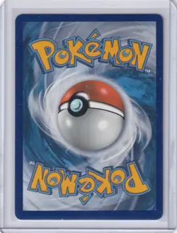 M Sharpedo EX XY200 XY Holo Pokemon Card 2017 Promo NM - Image 2