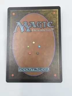 MTG Guru Land GURU SWAMP VG / RARE -MANA MANSION - Image 2