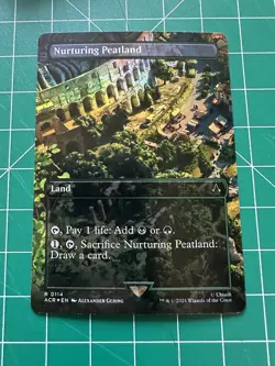 Nurturing Peatland (Borderless) 0114 Universes Beyond: Assassin's Creed Foil - Image 1