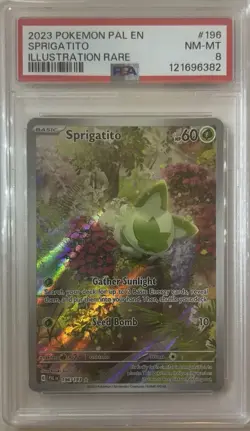2023 Pokemon Pal Evolved Illustration Rare SPRIGATITO #196 PSA 8 - Image 1