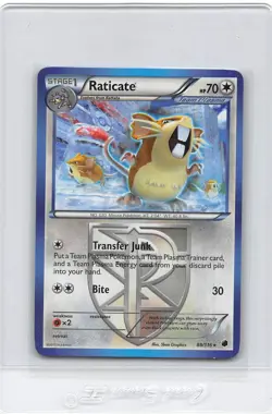 Raticate 88/116 - Rare NON-HOLO - Plasma Freeze - Pokemon CARD - LP - Image 1