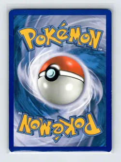 Pokemon TCG Tepig BW02 Black and White Promos Holo MP - Image 2
