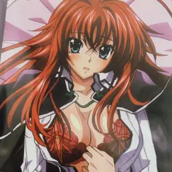 POP 2 PSA 10 CHARA HIGH PHONE CARD DAKIMAKURA COVER BONUS HIGH SCHOOL DXD Rias - Image 4