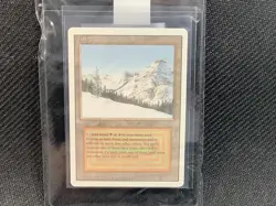 MTG Taiga Revised Edition Regular Rare - Image 1