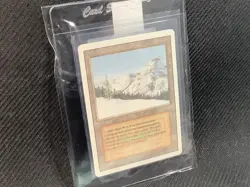 MTG Taiga Revised Edition Regular Rare - Image 2