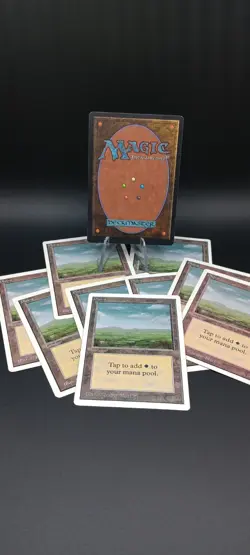 Magic the Gathering Plains Wizards Of The Coast Lot Of 10! 🔥 - Image 2