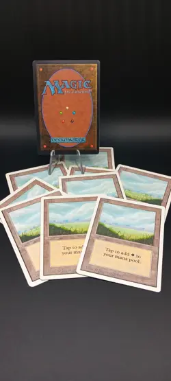 Magic the Gathering Plains Lot Of 10! 🔥 - Image 2