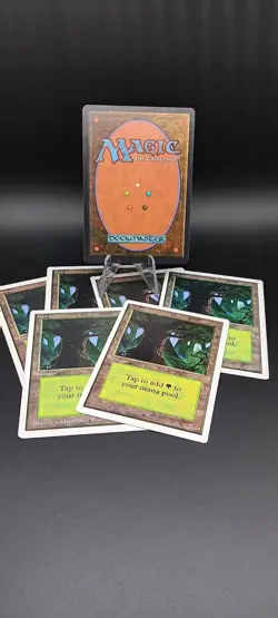 Magic the Gathering Forest Lot Of 7! 🔥 - Image 2