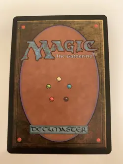 MTG NM Hermit Druid Stronghold Free Shipping In The US With Tracking - Image 2