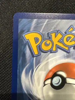 Pokemon TCG M Sharpedo EX XY200 Black Star Promo Holo MINT - Image 4