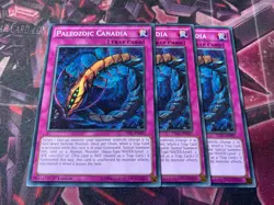 PLAYSET Yu-Gi-Oh! 3x Paleozoic Canadia TDIL-EN097 Common 1st Ed NM - Image 1