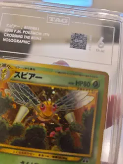 2000 Pokemon Japanese Neo 2 Beedrill Holo #15 TAG 6 SWIRL NM - Image 2