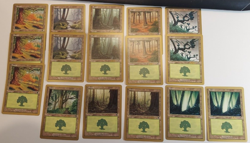 16x FOREST basic lands - NM/LP - World Championships 2002 Sydney MTG - Image 1
