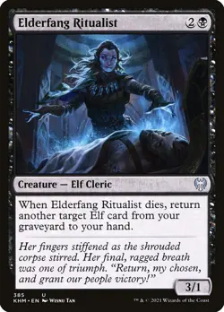 MTG Magic the Gathering Elderfang Ritualist (385/526) Kaldheim NM - Image 1