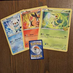 Pokemon Cards Tcg First Partner Pack (Unova) - Three Jumbos ONLY BW01 02 03 NM - Image 1